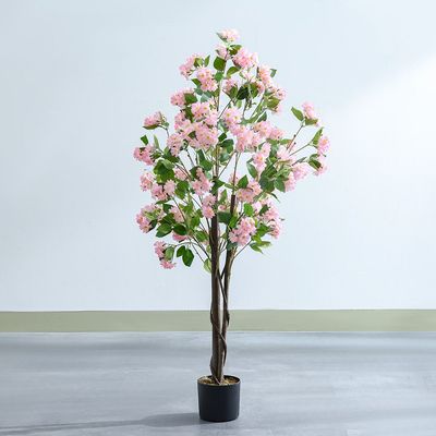 Flowering Blossom 150Cm