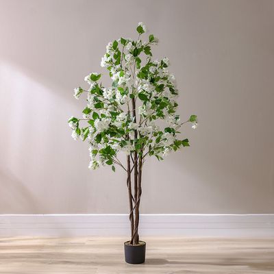 Flowering Blossom 180Cm