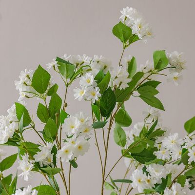 Flowering Blossom 180Cm