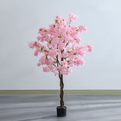 Cherry Blossom Tree 180Cm