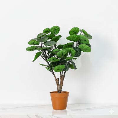 Phlox Philodendron Potted Plant 52Cm