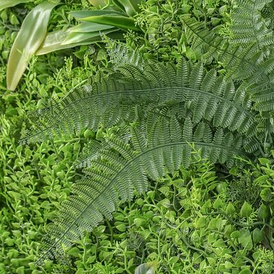 Artificial Fence 100X200Cm - Deluxe Fern