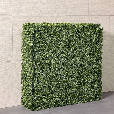 Artificial Hedge - Boxwood