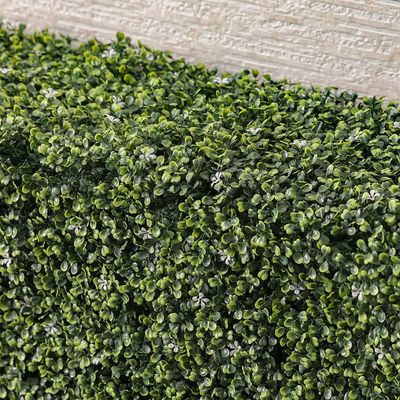 Artificial Hedge - Boxwood