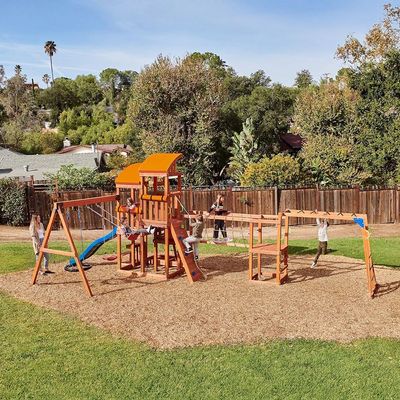 Dynamic Sports Arabian Oryx Extreme Wooden  Swing Set
