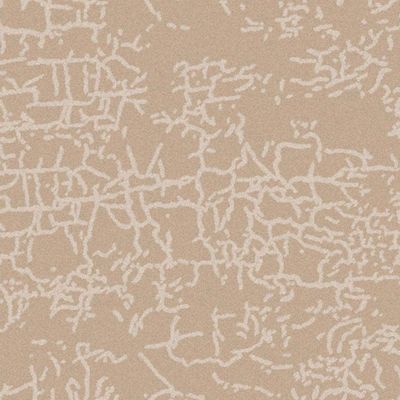 Rugs Cpc-24 Venn B5884A Cameo Beige / Cameo Beige 200X300