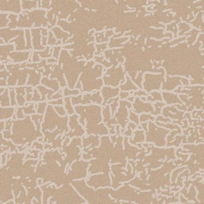 Rugs Cpc-24 Venn B5884A Cameo Beige / Cameo Beige 150X230