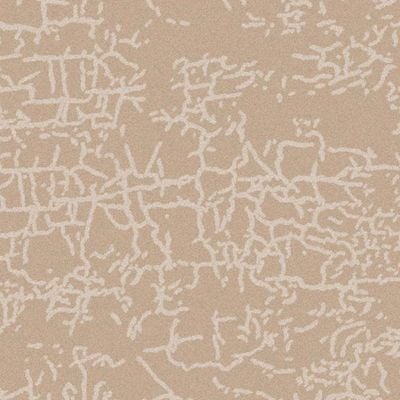 Rugs Cpc-24 Venn B5884A Cameo Beige / Cameo Beige 120X180