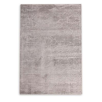 Rugs Cpc-24 Venn B5884A Lt. Grey / Lt. Grey 200X300