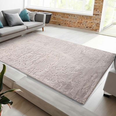 Rugs Cpc-24 Venn B5884A Lt. Grey / Lt. Grey 200X300