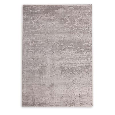 Rugs Cpc-24 Venn B5884A Lt. Grey / Lt. Grey 120X180