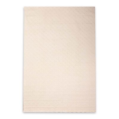 Rugs Cpc-24 Omega B9691A White / White 120X180