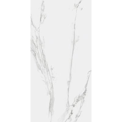 Rak Islabz Carrara Grey Matt 120X260Cm 6Mm (1 Nos/Ctn,3.12 Sqm) A62GZCRR-GRY.M0X6R