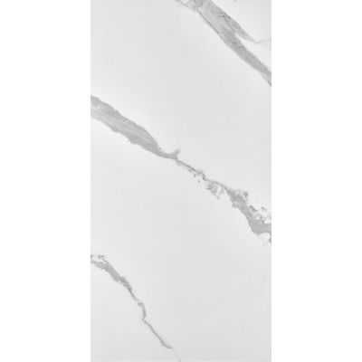 Rak Porcelain Floor Tile Prem- 9Mm Calacatta Extra White 60X120Cm (2Nos/Ctn, 1.44 Sqm)-A12GCCTE-WHE.N0X5P