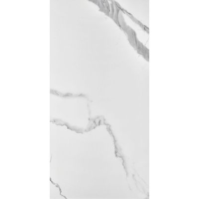 Rak Porcelain Floor Tile Prem- 9Mm Calacatta Extra White 60X120Cm (2Nos/Ctn, 1.44 Sqm)-A12GCCTE-WHE.N0X5P