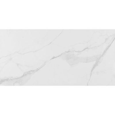Spain Ecoceramic Floor Tiles Essential White Glossy 60X120Cm (2 Nos/Ctn,1.44Sqm)
