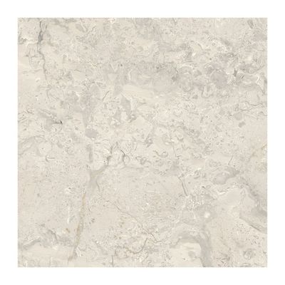 Indian Milano Absolute Ceramic Tile Collection-48