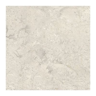 Indian Milano Absolute Ceramic Tile Collection-48