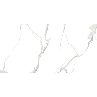 Indian Ceramic Wall Tile (48) Himalaya Snow Glossy 30X60(5Pcs,0.90 Sqm/Ctn)