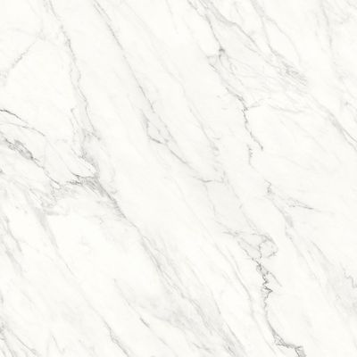 Spain Argenta Floor Tiles Arg Carrara White Matt 60X60Cm (3 Nos/Ctn,1.08Sqm)