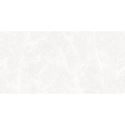 Indian Milano Porcelain Islab (56) Dolomite Grey Glossy 80X160Cm (2 Nos/Ctn,2.56Sqm)