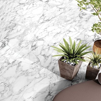 Indian Milano Porcelain Islab (60) Arbesco White High Glossy 120X278Cm 6Mm (1 Nos/Ctn,3.336Sqm)