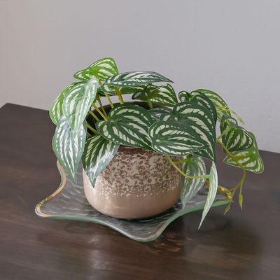 Treo Star Shaped Trinket Tray Lrg 24x24Cm