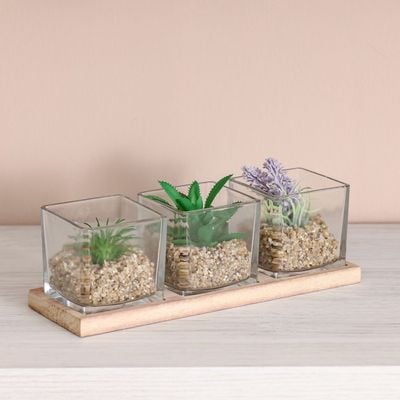 Treo Terrarium On A Tray S/3 8x8x8Cm, 27x9x1.5Cm