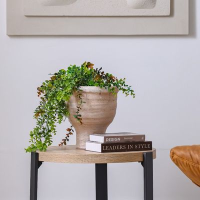 Venice Ceramic 2D Tactile Classic Planter 27X27X29Cm