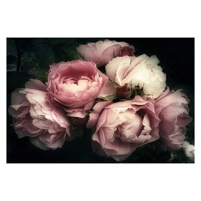 Diana Peony Bunch Glass Wall Art Multi 120X80X0.4Cm