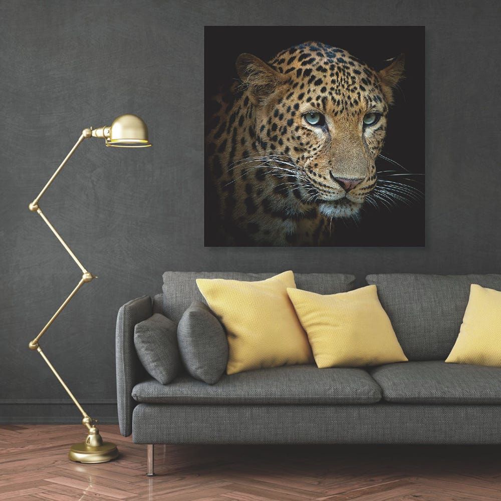 Buy Diana Leopard Glass Wall Art Multi 80X80X0.4C Online | Danube Home UAE