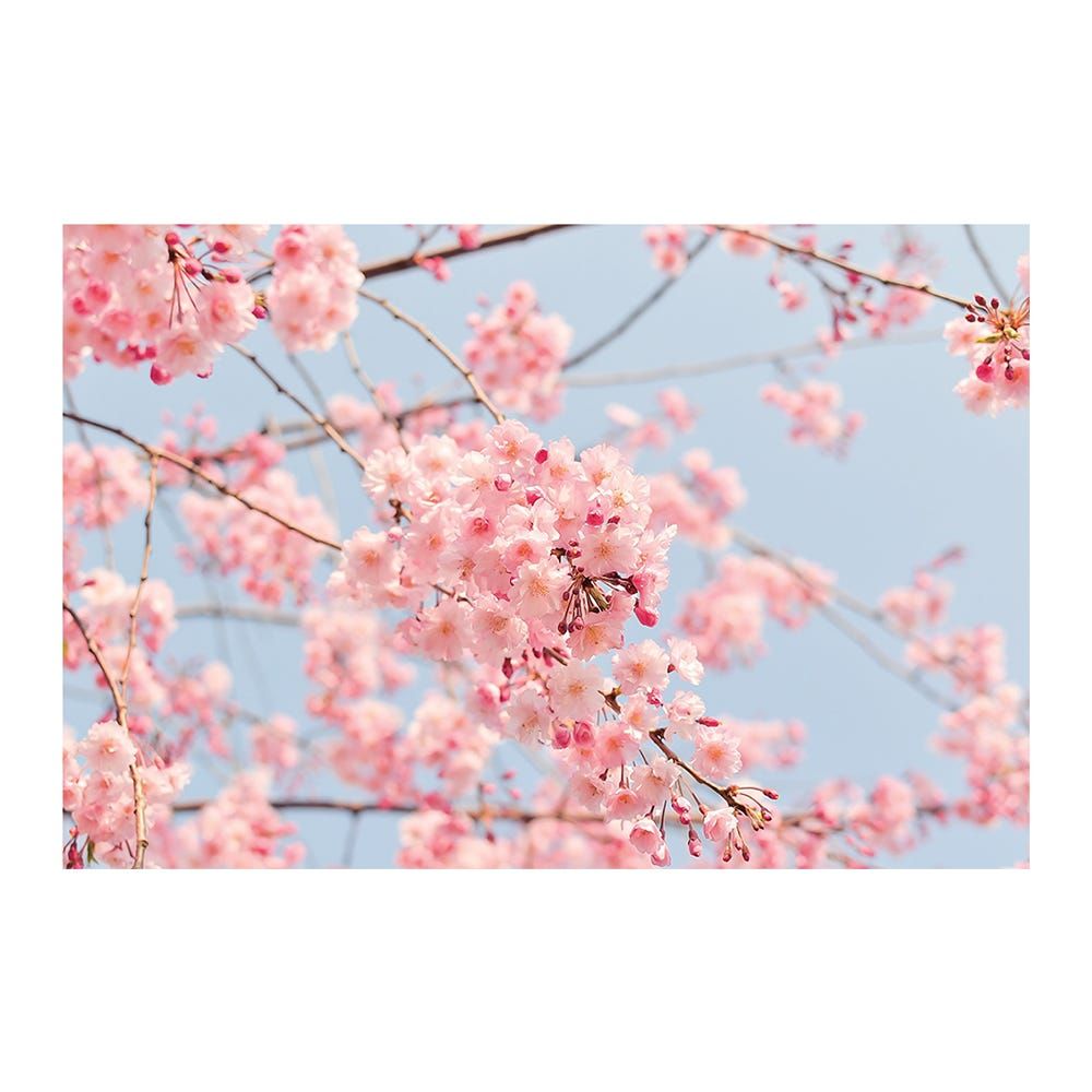 gallery_0