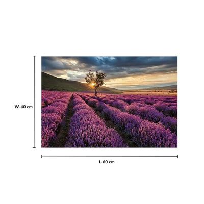 Diana Sunrise Lavender Field Tempered Glass Wall Art 60X40X0.4CM