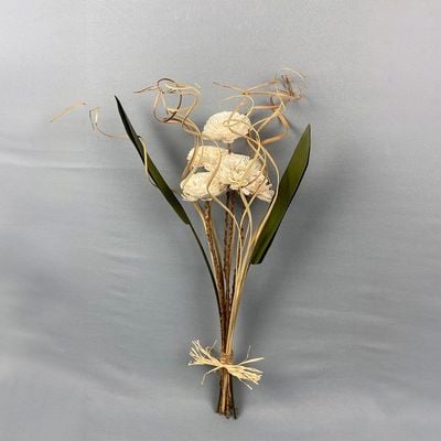 Fleur Sola Bela Palm Curly Ting Arrow Leaves Natural H - 60Cm