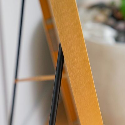 Petite Standing Frame Mirror - Brushed Gold