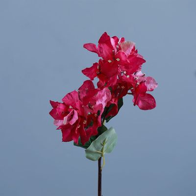 Rejoice Pink Bougainvillea L52Cm L16561/PK