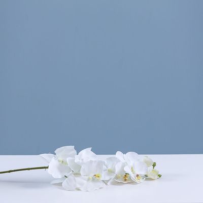 Rejoice White Orchid Artificial Flower L102CM L19602/WH