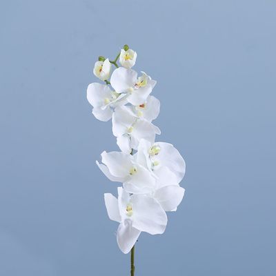 Rejoice White Orchid Artificial Flower L102CM L19602/WH