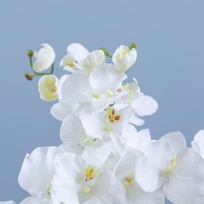 Rejoice White Orchid Artificial Flower L102CM L19602/WH