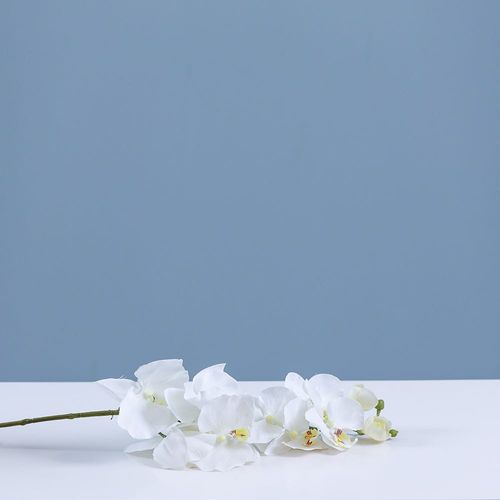 Rejoice White Orchid Artificial Flower L102CM L19602/WH