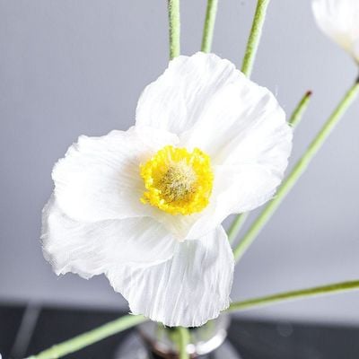 Rejoice Poppy Bunch White L53 cm