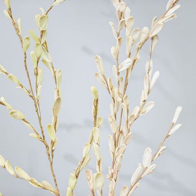 Zaria Petal Dry Flower Stick In Paper Cream 150Cm