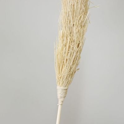 Zaria Dry Coriander Grass Stick In Paper Natural 145Cm