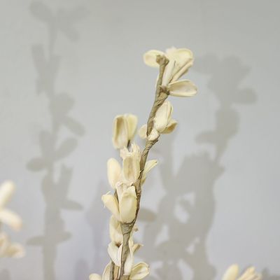 Zaria 3 Petal Flower Stick In Paper Cream Mix 100Cm