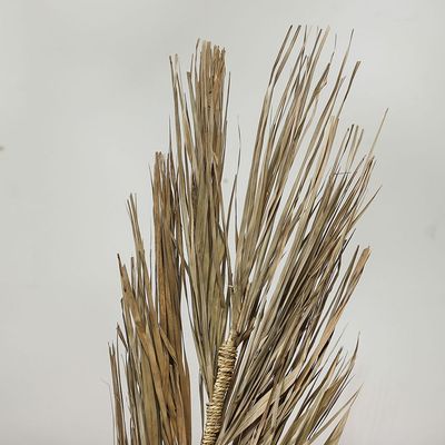 Zaria Khajur Grass Flate Stick In Poly Sleaves Green 150Cm