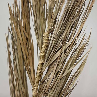 Zaria Khajur Grass Flate Stick In Poly Sleaves Green 150Cm