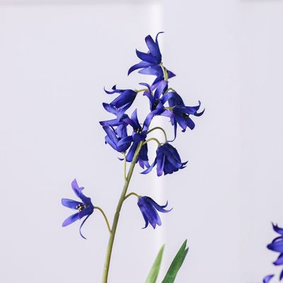 Bloomvogue Artificial Campanula - Dark Blue - 60 cm