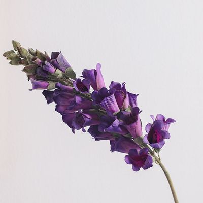 Bloomvogue Artificial Foxgloves - Purple - 80 cm