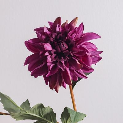 Bloomvogue Artificial Dahlia - Purple - 80 cm