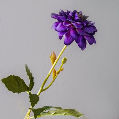 Bloomvogue Artificial Dahlia 46Cm Purple 